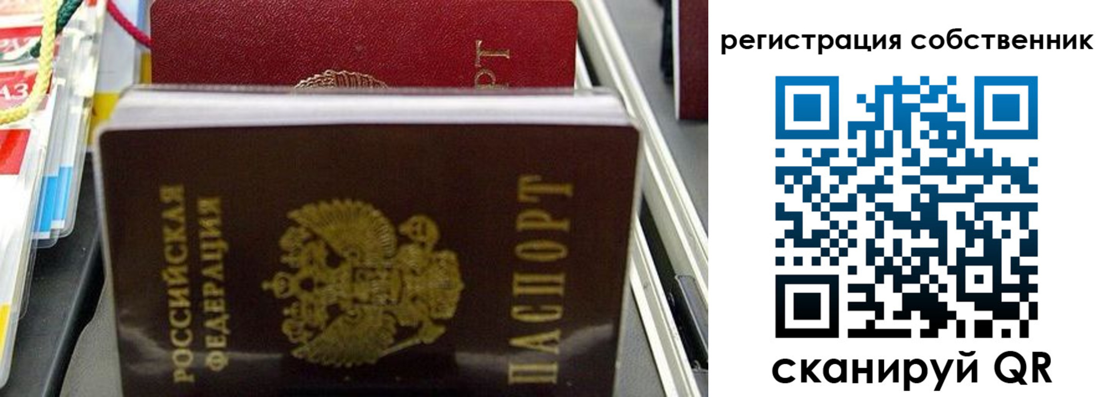 временная регистрация поиск в Воронежской области